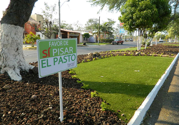 Pasto Sintético