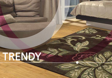 Colección Trendy